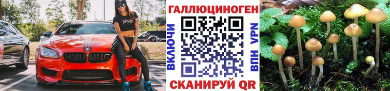 Галлюциногенные грибы Psilocybe  Купить где  Ногинск 